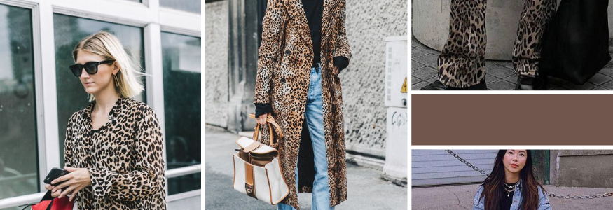 The Biggest Trend So Far This Year: Leopard Print