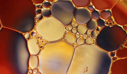 Skincare Science: The Lowdown on Exosomes