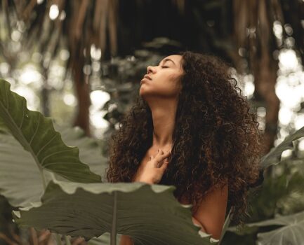 Introducing Pure Beauty’s Newest Brand - Ere Perez